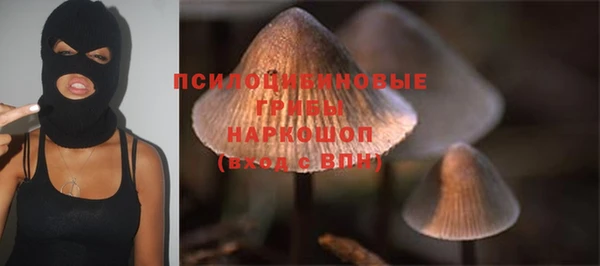 не бодяженный Богданович