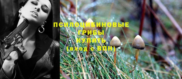 не бодяженный Богданович