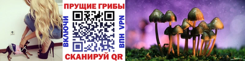 Галлюциногенные грибы Magic Shrooms  Кудрово 